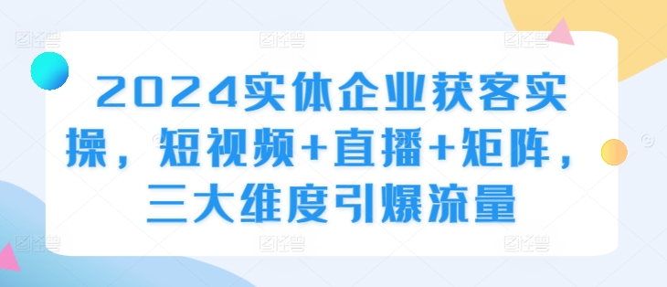 2024实体企业获客实操,短视频+直播+矩阵,三大维度引爆流量|淘骐网赚资源库