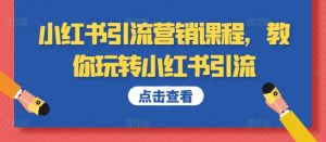 小红书引流营销课程,教你玩转小红书引流|淘骐网赚资源库