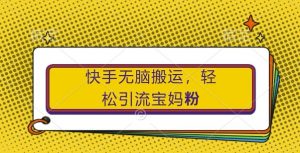 快手无脑搬运,轻松引流宝妈粉,纯小白轻松上手【揭秘】|淘骐网赚资源库