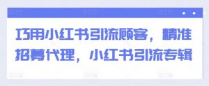 巧用小红书引流顾客，精准招募代理，小红书引流专辑|淘骐网赚资源库