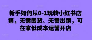 新手如何从0-1玩转小红书店铺,无需囤货、无需出镜,可在家低成本运营开店|淘骐网赚资源库