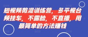 短视频剪混训练营,多平视台频挂车,不露脸,不直播,用最简单的方法赚钱|淘骐网赚资源库