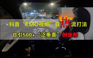 抖音EMO视频自热打法,日引500+“泛垂直”创业粉|淘骐网赚资源库