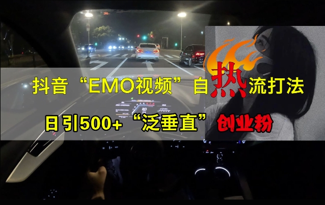 抖音EMO视频自热打法,日引500+“泛垂直”创业粉|淘骐网赚资源库