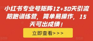 小红书专业号矩阵12+30天引流陪跑训练营，简单易操作，15天可出成绩!|淘骐网赚资源库