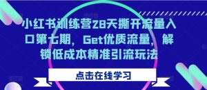 小红书训练营28天撕开流量入口第七期，Get优质流量，解锁低成本精准引流玩法|淘骐网赚资源库