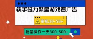 筷手磁力聚星4.0实操玩法,单机30-50+可批量放大【揭秘】|淘骐网赚资源库