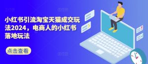 小红书引流淘宝天猫成交玩法2024,电商人的小红书落地玩法|淘骐网赚资源库