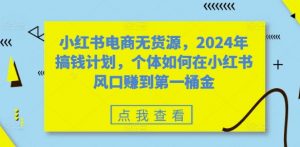 小红书电商无货源，2024年搞钱计划，个体如何在小红书风口赚到第一桶金|淘骐网赚资源库