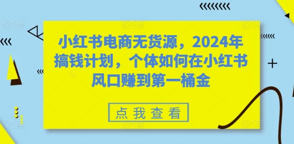 小红书电商无货源，2024年搞钱计划，个体如何在小红书风口赚到第一桶金|淘骐网赚资源库