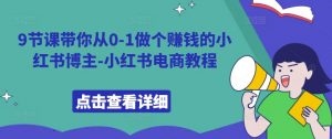 9节课带你从0-1做个赚钱的小红书博主-小红书电商教程|淘骐网赚资源库