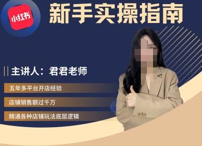 君君-小红书电商从入门到精通,新手实操指南|淘骐网赚资源库