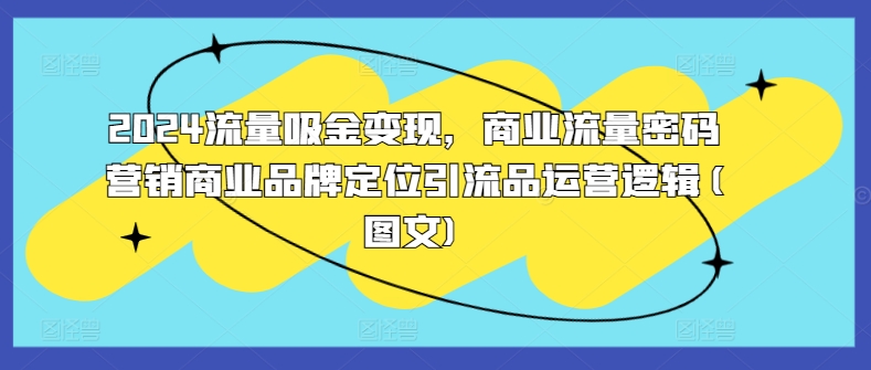 2024流量吸金变现,商业流量密码营销商业品牌定位引流品运营逻辑(图文)|淘骐网赚资源库
