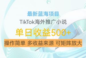 最新蓝海项目,利用tiktok海外推广小说赚钱佣金,简单易学,日入500+,可矩阵放大【揭秘】|淘骐网赚资源库