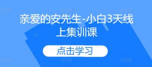 亲爱的安先生-小白3天线上集训课|淘骐网赚资源库