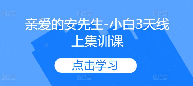 亲爱的安先生-小白3天线上集训课|淘骐网赚资源库
