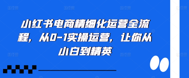 小红书电商精细化运营全流程,从0-1实操运营,让你从小白到精英|淘骐网赚资源库