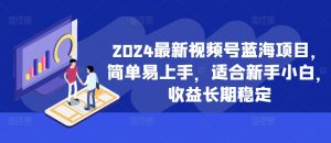 2024最新视频号蓝海项目，简单易上手，适合新手小白，收益长期稳定|淘骐网赚资源库