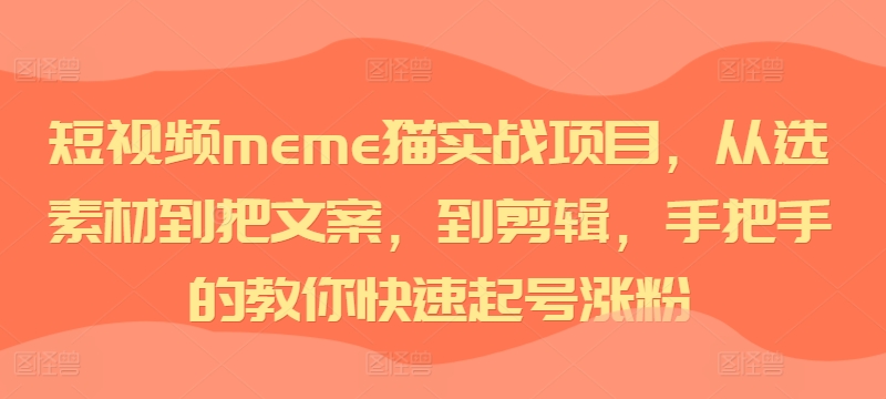 短视频meme猫实战项目,从选素材到把文案,到剪辑,手把手的教你快速起号涨粉|淘骐网赚资源库
