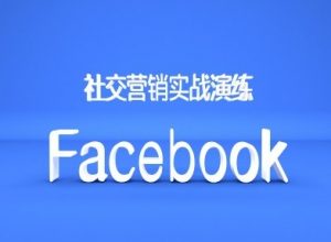 Facebook社交营销实战演练,外贸人绝对不能错过的营销推广平台|淘骐网赚资源库