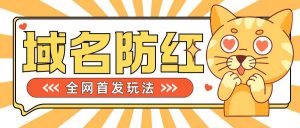 0基础搭建域名防红告别被封风险,学会可对外接单,一单收200+【揭秘】|淘骐网赚资源库