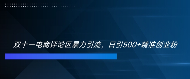 双十一电商评论区暴力引流,日引500+精准创业粉【揭秘】|淘骐网赚资源库