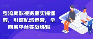 引流卖影视资源实操课程,引流私域运营,全网多平台实战经验|淘骐网赚资源库