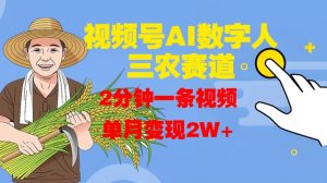 视频号AI数字人玩转三农赛道,2分钟一条视频,单月变现2W+|淘骐网赚资源库