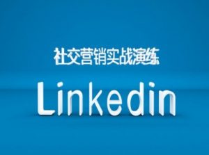 社交营销实战演练之Linkedin营销课程,B2B跨境外贸的新出路|淘骐网赚资源库