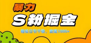单人单机日引千粉,变现1k+,S粉流量掘金计划攻略【揭秘】|淘骐网赚资源库