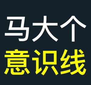 马大个意识线，一门改变人生意识的课程，讲解什么是能力线什么是意识线|淘骐网赚资源库