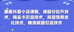 最新抖音小店课程,体验分拉升技术,商品卡引流技术,投流效果优化技术,精选联盟引流技术|淘骐网赚资源库