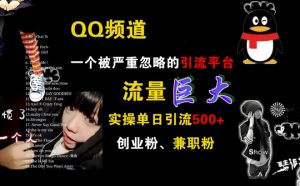 QQ频道，一个被严重忽略的引流平台，流量巨大 实操单日引流500+创业粉兼职粉【揭秘】|淘骐网赚资源库