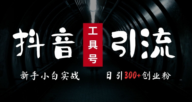 2024最新抖音工具号引流玩法，高效日引300+创业粉，当天变现5k，小白也可成为实战高手|淘骐网赚资源库