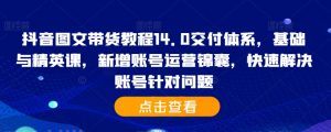 抖音图文带货教程14.0交付体系,基础与精英课,新增账号运营锦囊,快速解决账号针对问题|淘骐网赚资源库