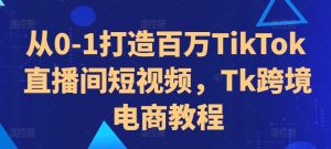 从0-1打造百万TikTok直播间短视频,Tk跨境电商教程|淘骐网赚资源库