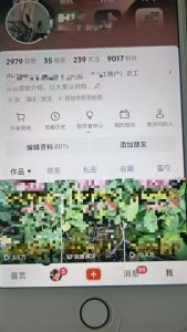 最新抖音暴力起万粉技术，一天涨万粉，发三四个作品涨近万粉|淘骐网赚资源库