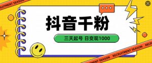 抖音千粉项目，自然涨粉变现，三天起号，日变现1k【揭秘】|淘骐网赚资源库
