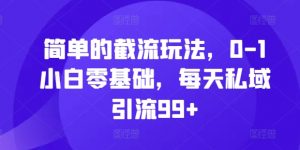 简单的截流玩法，0-1小白零基础，每天私域引流99+【揭秘】|淘骐网赚资源库