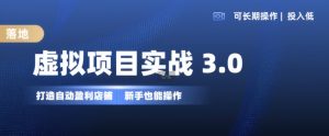 虚拟项目实战3.0,打造自动盈利店铺,可长期操作投入低,新手也能操作|淘骐网赚资源库