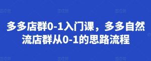 多多店群0-1入门课,多多自然流店群从0-1的思路流程|淘骐网赚资源库