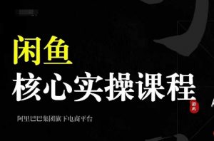 2024闲鱼核心实操课程,从养号、选品、发布、销售,教你做一个出单的闲鱼号|淘骐网赚资源库