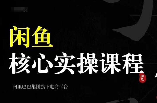 2024闲鱼核心实操课程,从养号、选品、发布、销售,教你做一个出单的闲鱼号|淘骐网赚资源库