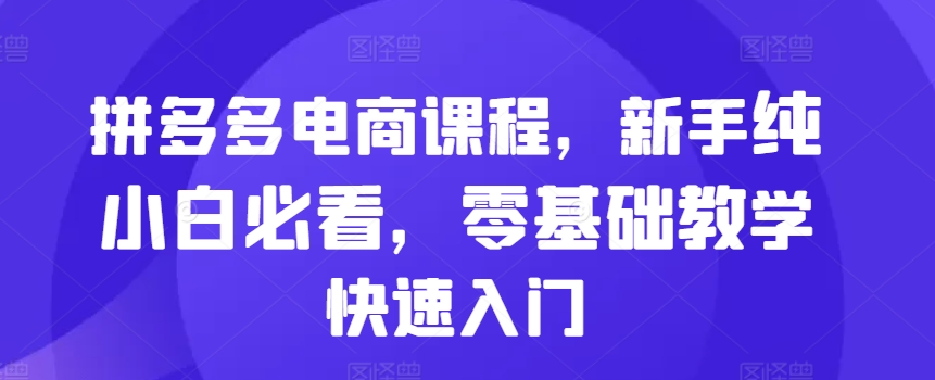 拼多多电商课程,新手纯小白必看,零基础教学快速入门|淘骐网赚资源库