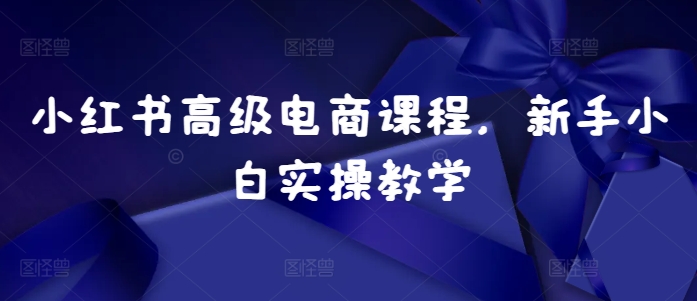 小红书高级电商课程,新手小白实操教学|淘骐网赚资源库