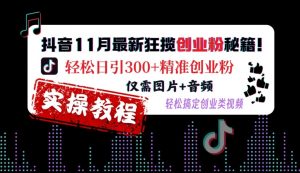 抖音11月最新狂揽创业粉秘籍,轻松日引300+精准创业粉,仅需图片+音频,轻松搞定创业类视频|淘骐网赚资源库