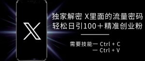 独家解密 X 里面的流量密码,复制粘贴轻松日引100+|淘骐网赚资源库