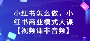 小红书怎么做，小红书商业模式大课【视频课非音频】|淘骐网赚资源库