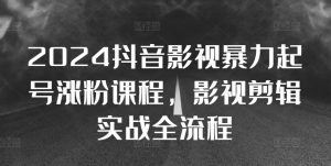 2024抖音影视暴力起号涨粉课程，影视剪辑搬运实战全流程|淘骐网赚资源库
