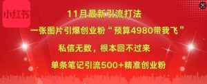 小红书11月最新图片打粉，一张图片引爆创业粉，“预算4980带我飞”，单条引流500+精准创业粉|淘骐网赚资源库